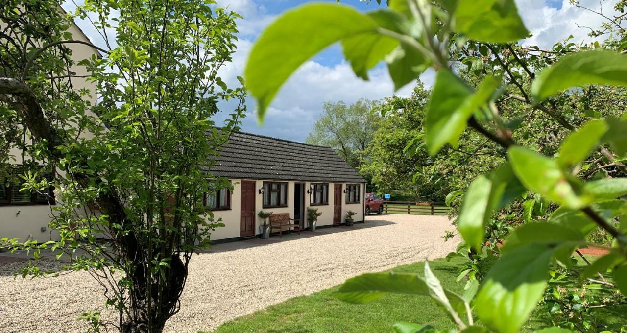 Bed and Breakfast Hope Orchard à Cheltenham Extérieur photo