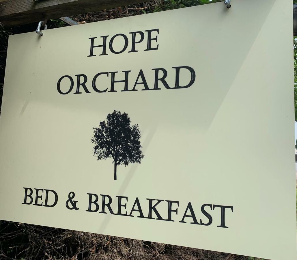 Bed and Breakfast Hope Orchard à Cheltenham Extérieur photo