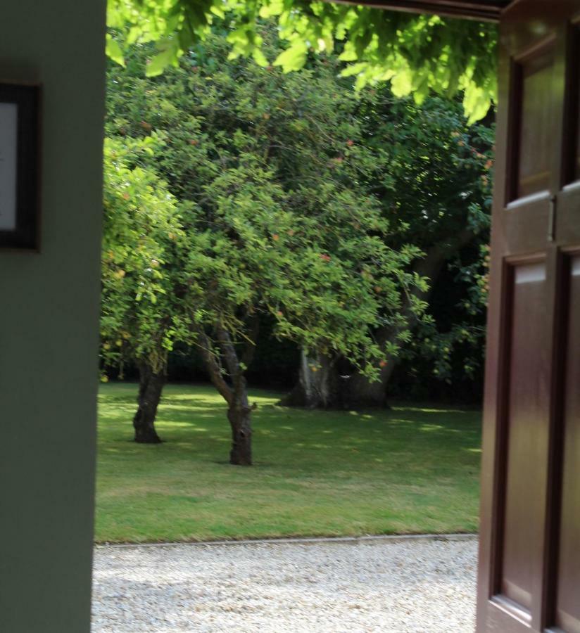 Bed and Breakfast Hope Orchard à Cheltenham Extérieur photo